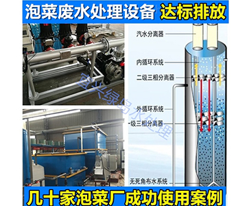 FL泡菜廢水處理設備 廠家直···